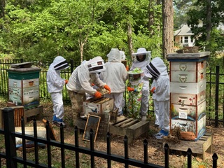 hive inspection pic #1, 18April2026