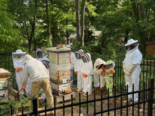 hive inspection pic #2, 18April2026